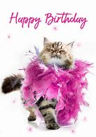 Image result for Cat Birthday Messages