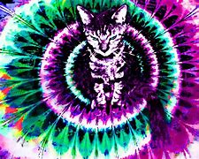 Image result for Trippy Animal Wallpapers