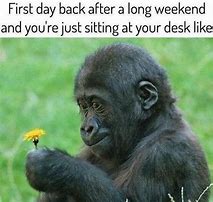 Image result for Women Funny Back to Work Memes