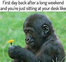 Image result for Tuesday After Long Weekend Work Meme