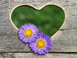 Image result for Gold Flowers and Hearts