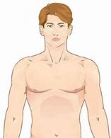 Image result for Body Parts Measurement