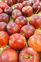 Image result for Red Things Apple
