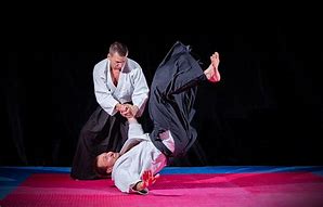 Image result for Aikido Throws