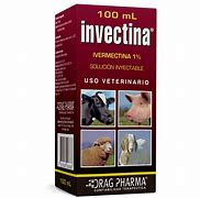 Image result for invectiva