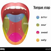 Image result for Food and Label the Taste Chart