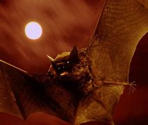 Image result for Scary Bats