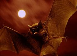 Image result for Scary Black Bat