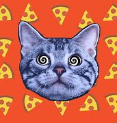 Image result for Pizza Cat DJ