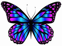 Image result for Bat Butterfly Wings Cartoon