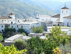 Image result for almujarra