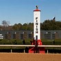 Image result for Horse Racing Finishing Straight Pics