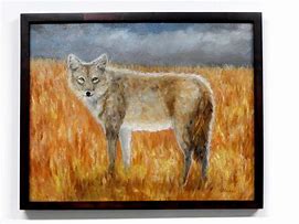 Image result for Coyote Wall Canvas
