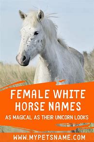 Image result for Aesthetic Horse Names