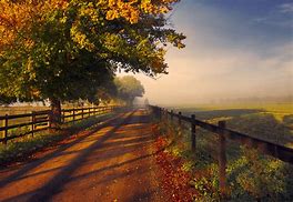 Image result for Fall Road Field
