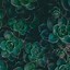Image result for Vintage Paper Background Aesthetic