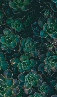 Image result for Purple Green Aesthetic