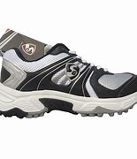 Image result for Cricket Sports Shoes Pic