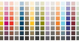 Image result for The Tint Color of Yellow and White