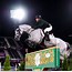 Image result for Show Jumping