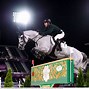 Image result for Show Jumping