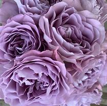 Image result for Lavender Rose Bouquet