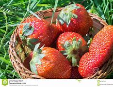 Image result for Fruit Basket Grass