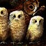 Image result for Owl Babies Book