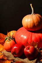 Image result for Pumpkin and Apple Picking