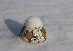 Image result for Soccer