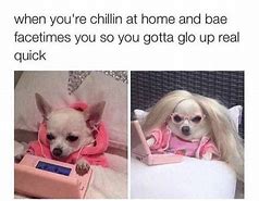 Image result for So Cute Dog Meme