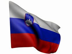 Image result for Slovenia Flag