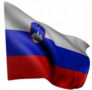Image result for Flag of Slovenia