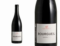 Image result for Yannick Amirault Bourgueil Petite Cave