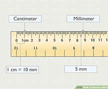 Image result for Objects Measured in Millimeters