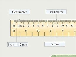 Image result for What Can Be Measured in Millimeter