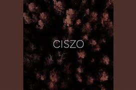 Image result for ciszo