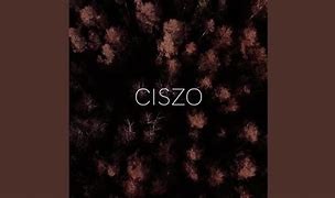 Image result for ciszo