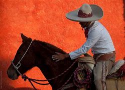 Image result for Mexican Cowboy On Horse