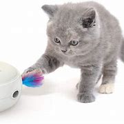 Image result for interactive cat toy