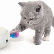 Image result for Interactive Electronic Cat Toys