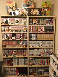 Image result for Manga Shelves