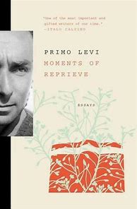 Image result for Primo Levi Books