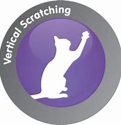 Image result for Cat Scratch Texture