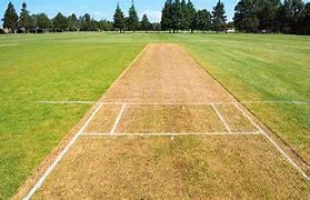 Image result for Pitch Foot Cricket