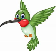 Image result for Funny Bird Flying