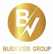 Image result for BV Investment Partners Logo