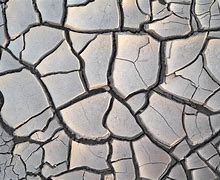 Image result for Cracked Mud