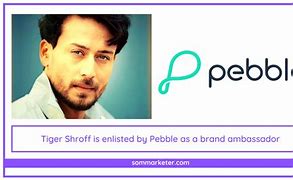 Image result for Pebble Watch Brand Ambassador