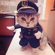 Image result for Police Officer Cat